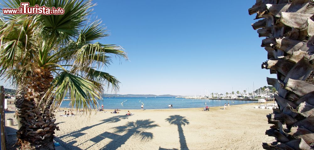 Immagine Una spiaggia di sabbia con palme a Cavalaire-sur-Mer, Francia.