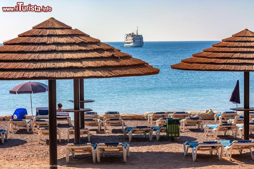 Immagine Una spiaggia pubblica nella località turistica di Eilat, Israele. Eilat è situata sulla punta nord del Mar Rosso e si affaccia su acque calde e cristalline; è ideale anche per le immersioni nelle barriere della riserva naturale della Spiaggia dei Coralli - © Yakov Oskanov / Shutterstock.com