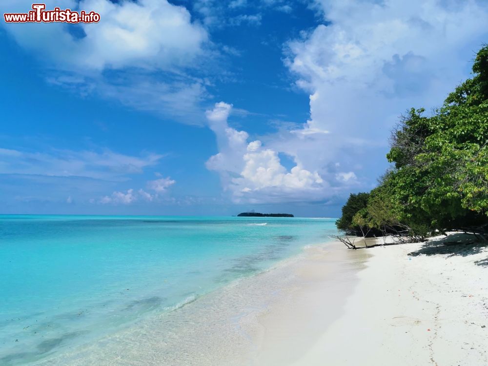 Immagine Una spiaggia solitaria alle Maldive, potete sscoprire questi paradisi terrestri anche con una vacanza low cost