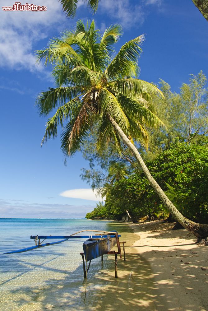 Immagine Una spiaggia sull'isola di Huahine, Polinesia Francese, con palme da cocco e una tipica barca in legno.