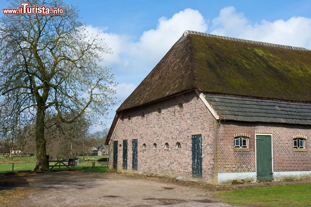 Immagine Una storica fattoria nella provincia della Drenthe, Paesi Bassi. Costruita con mattoni rossi, è coperta da un tetto rosso su cui cresce rigoglioso il muschio che le dona un colore verdastro.