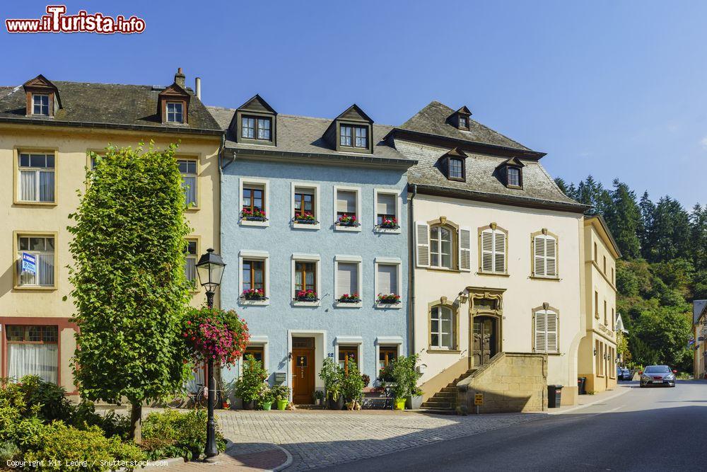 Immagine Una storica via nelle vicinanze della fortezza di Vianden, Lussemburgo - © Kit Leong / Shutterstock.com