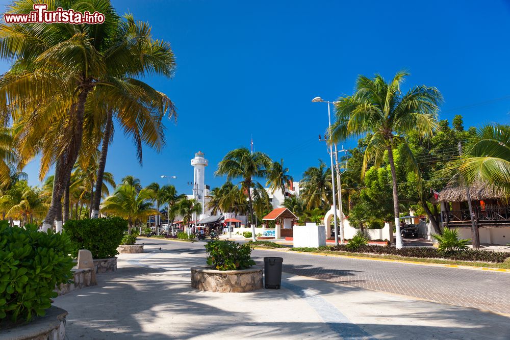 Immagine Una strada con palme nel centro dell'Isla Mujeres, Messico.