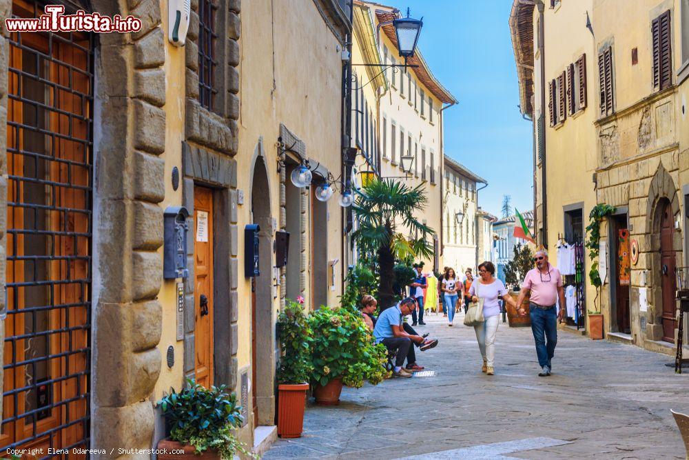 Immagine Una strada del borgo storico di Castellina in Chianti in Toscana - © Elena Odareeva / Shutterstock.com