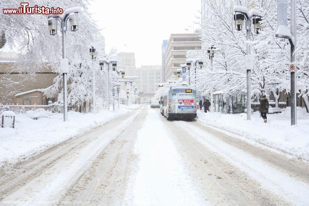 Immagine Una strada del centro di Winnipeg coperta dalla neve, Manitoba (Canada) - © Thamyris Salgueiro / Shutterstock.com