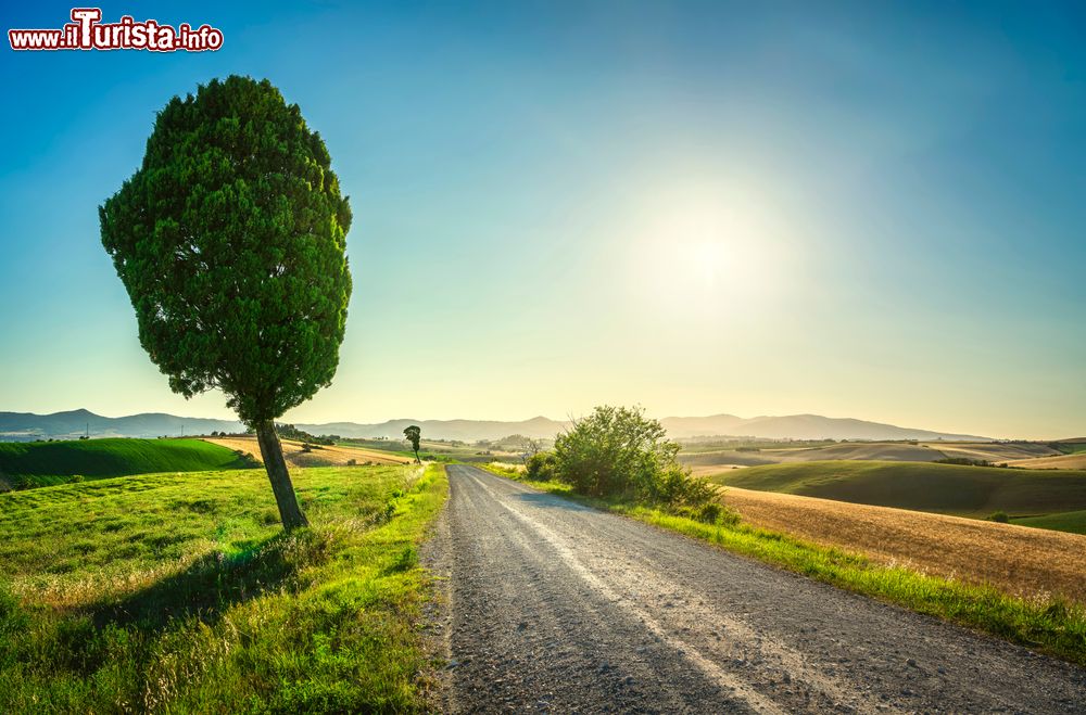 Immagine Una strada del comune di Santa Luce in Toscana