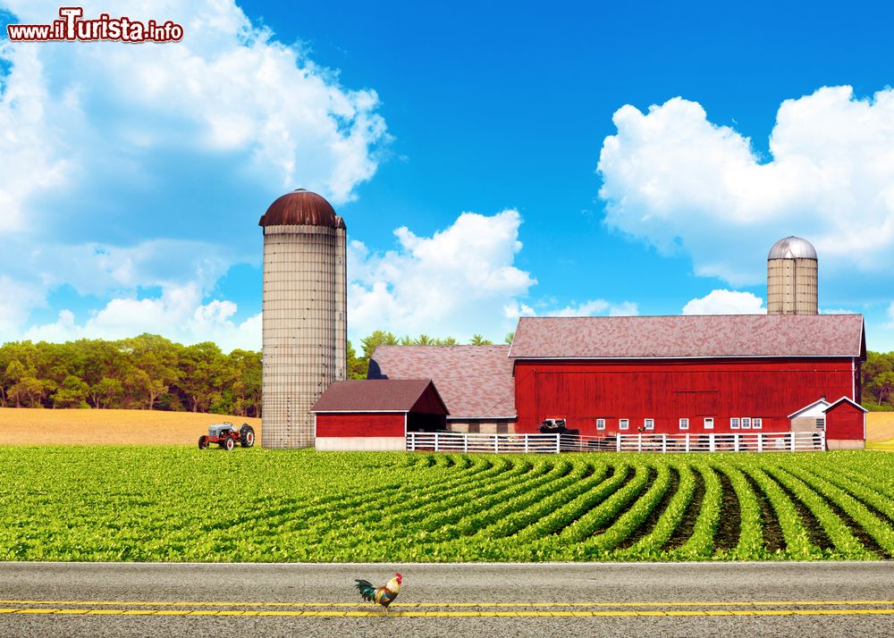 Immagine Una strada di campagna americana nello stato dello Iowa. Noto per il suo paesaggio caratterizzato da dolci colline e campi di mais, questo territorio si trova fra i fiumi Missouri e Mississipi.