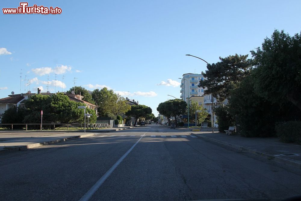 Immagine Una strada di Lido di Pomposa, comune di Comacchio - © Gianni Careddu, CC BY-SA 4.0, Wikipedia