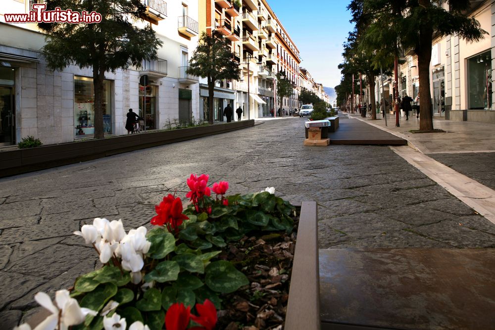 Immagine Una strada nel centro di Caserta, Campania, affiancata da ampi marciapiedi alberati. 