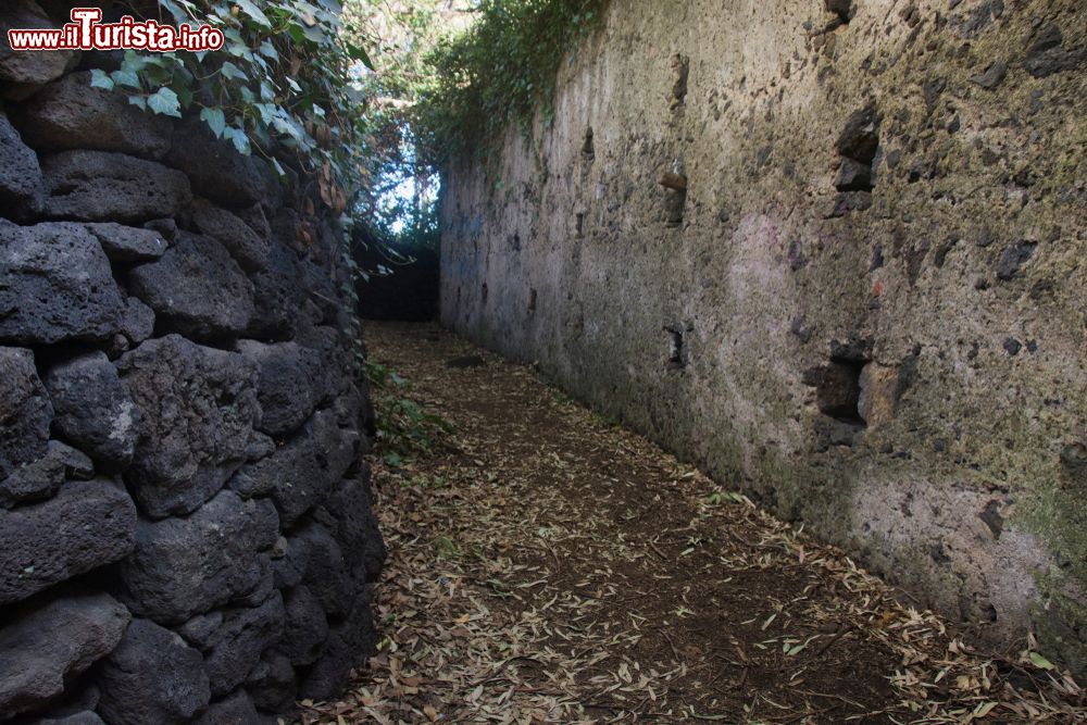 Immagine Una strada rurale nelle campagne di Aci Catena in Sicilia.