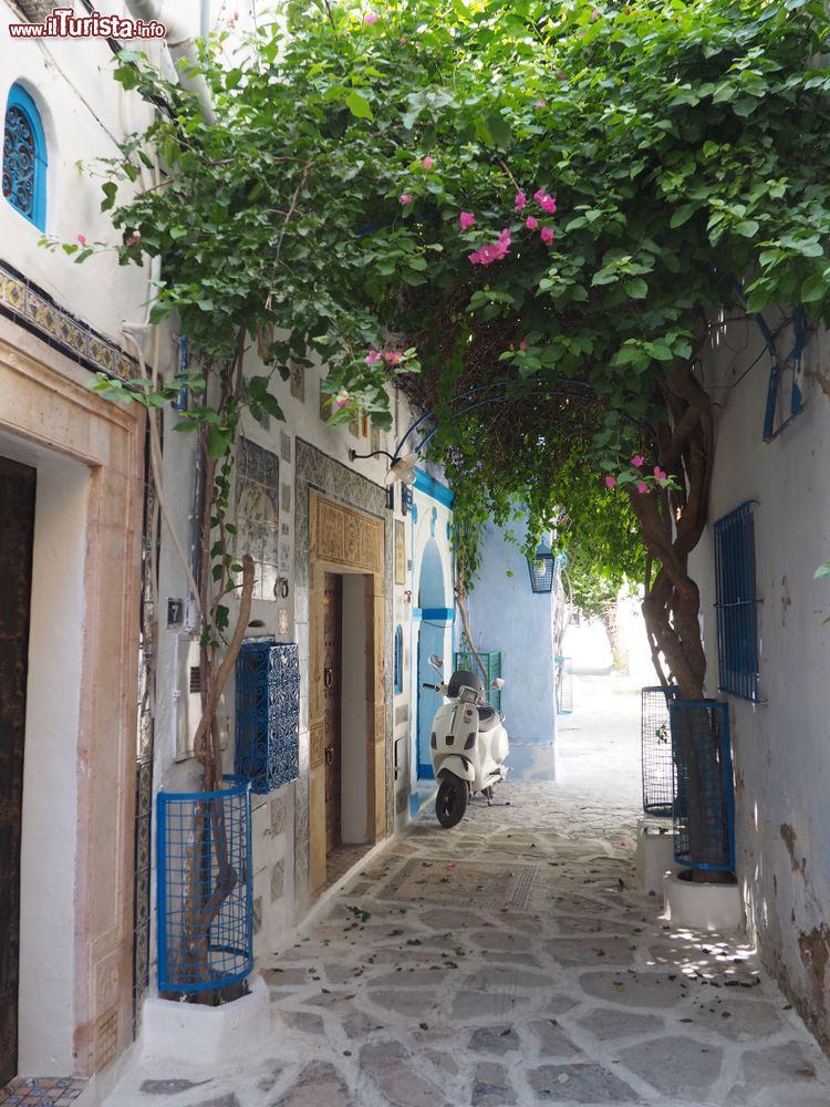 Immagine Una strada tipica del centro storico di Mahdia in Tunisia