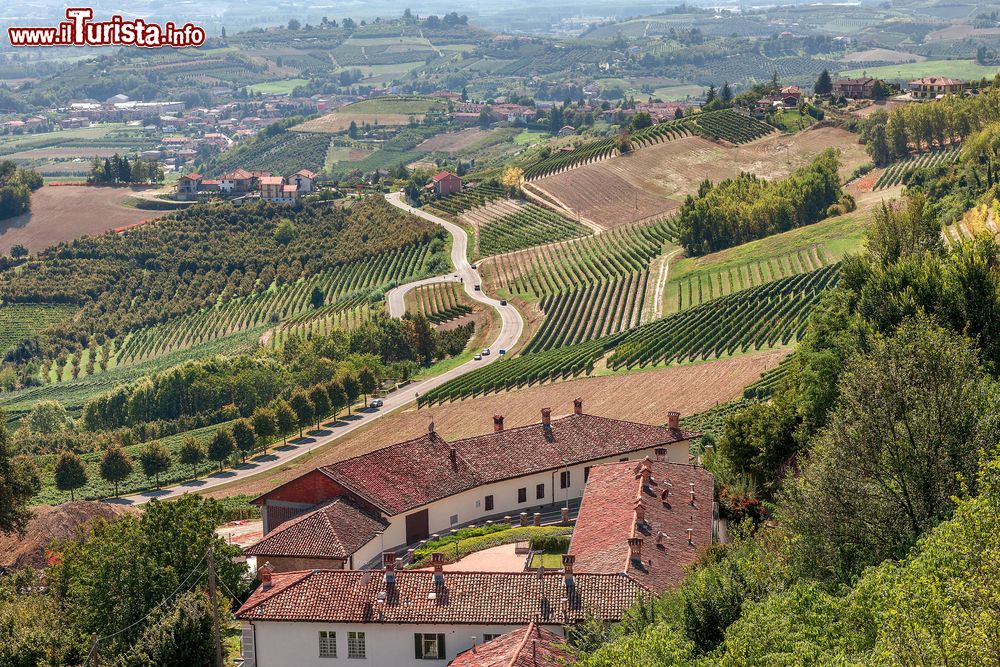 Immagine Una strada tra i vigneti del Roero in Piemonte