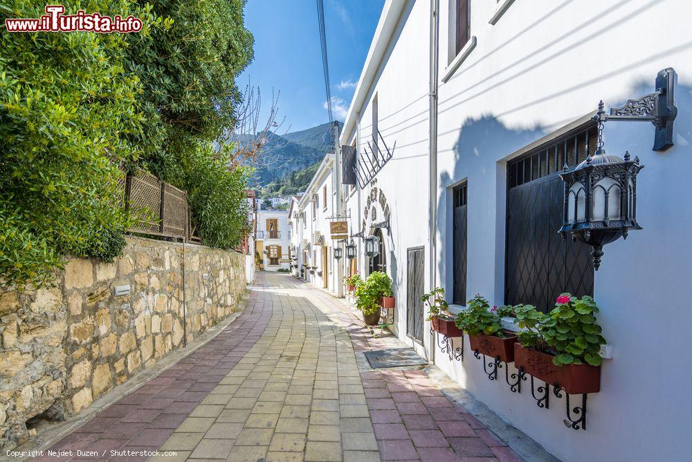 Immagine Una stradina del villaggio Beylerbeyi nei pressi di Kyrenia, Cipro. Fiori e lampioni abbelliscono le facciate degli edifici - © Nejdet Duzen / Shutterstock.com