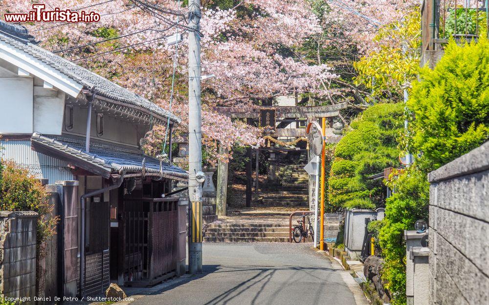 Immagine Una stradina d'ingresso a un tempio della città di Nara, Giappone. Sullo sfondo, un ciliegio in fiore - © Daniel De Petro / Shutterstock.com