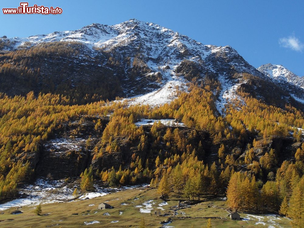 Immagine Una suggestiva veduta panoramica delle Alpi italiane da Hasliberg, Svizzera.