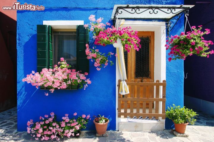 Immagine Una tipica casa di Burano, Venezia - le case colorate sono il tratto distintivo dell'isola di Burano, tra le più belle dell Laguna di Venezia. Queste splendide case, tutte contraddistinte da colori vivaci e sgargianti, hanno fatto guadagnare a Burano un posto tra le dieci città più colorate del mondo, nonostante Burano non sia effettivamente riconoscibile come città.  - © ndemodei / Shutterstock.com