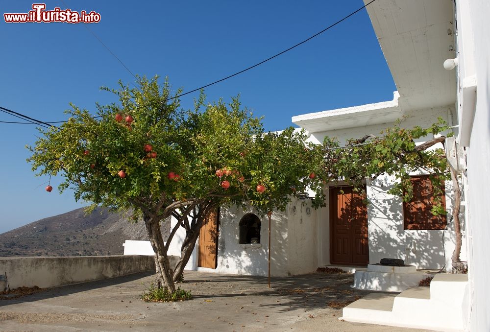 Immagine Una tipica casa greca a Tilos. Nei piccoli villaggi dell'isola si possono ammirare pittoreschi scorci architettonici come questa graziosa casetta intonacata di bianco con un albero di melograno nel cortile.