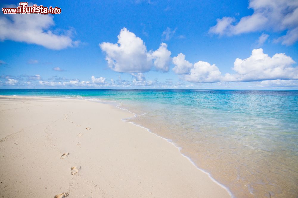 Immagine Una tipica spiaggia delle Seychelles a Denis Island, Oceano Indiano. L'isola deve il suo nome al capitano Denis de Trobriand che fu il primo europeo a sbarcarvi e a prendere possesso del territorio per conto della corona francese.