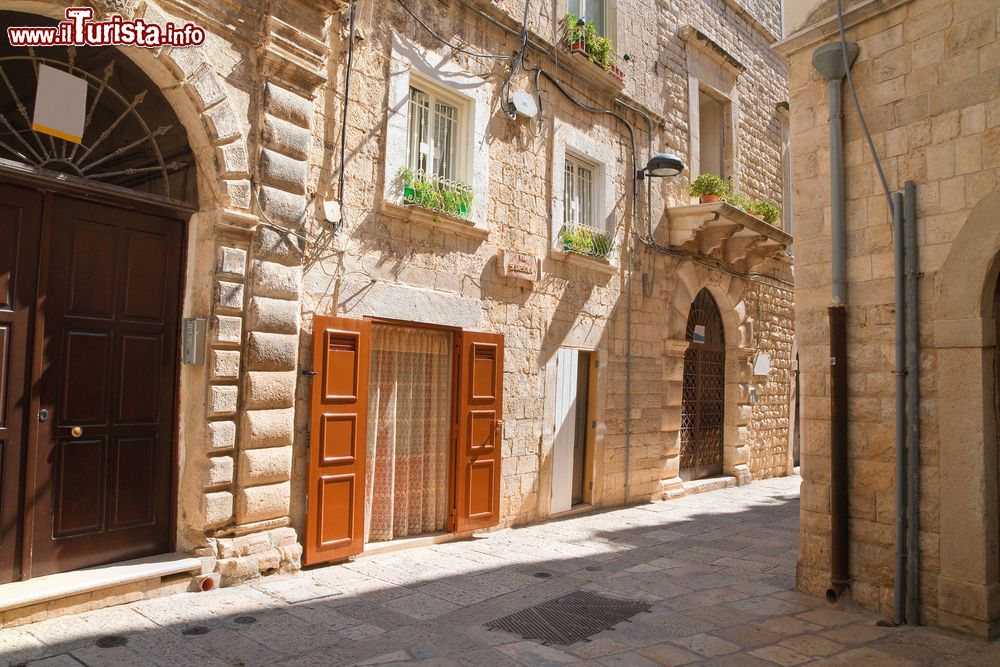 Immagine Una tipica stradina della città di Molfetta, Puglia. Scrigno a cielo aperto di bellezze artistiche, Molfetta vanta un centro storico unico in tutt'Italia poichè si presenta con impianto a spina di pesce di epoca normanna.