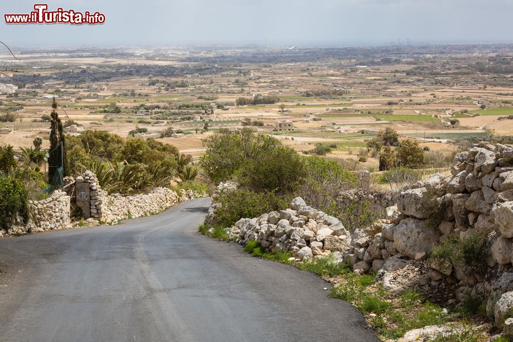 Immagine Una tipica veduta della campagna maltese nei pressi di Siggiewi.