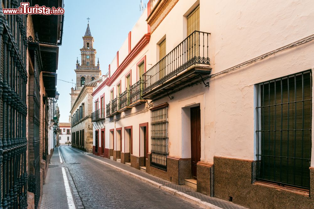 Immagine Una tipica viuzza del centro storico di Carmona, Spagna.