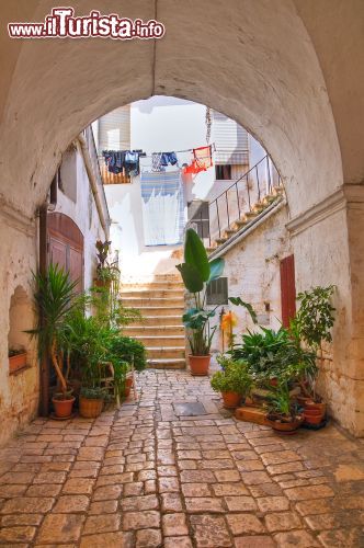 Immagine Una tipica viuzza lastricata nel centro storico di Conversano, Puglia - © Mi.Ti. / Shutterstock.com