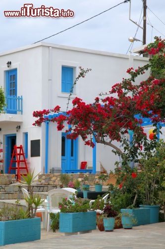 Immagine Una tradizionale abitazione di Tilos, Grecia. La facciata di questa graziosa casetta è impreziosita da porte e finestre azzurre e dai fiori profumati della bouganville.