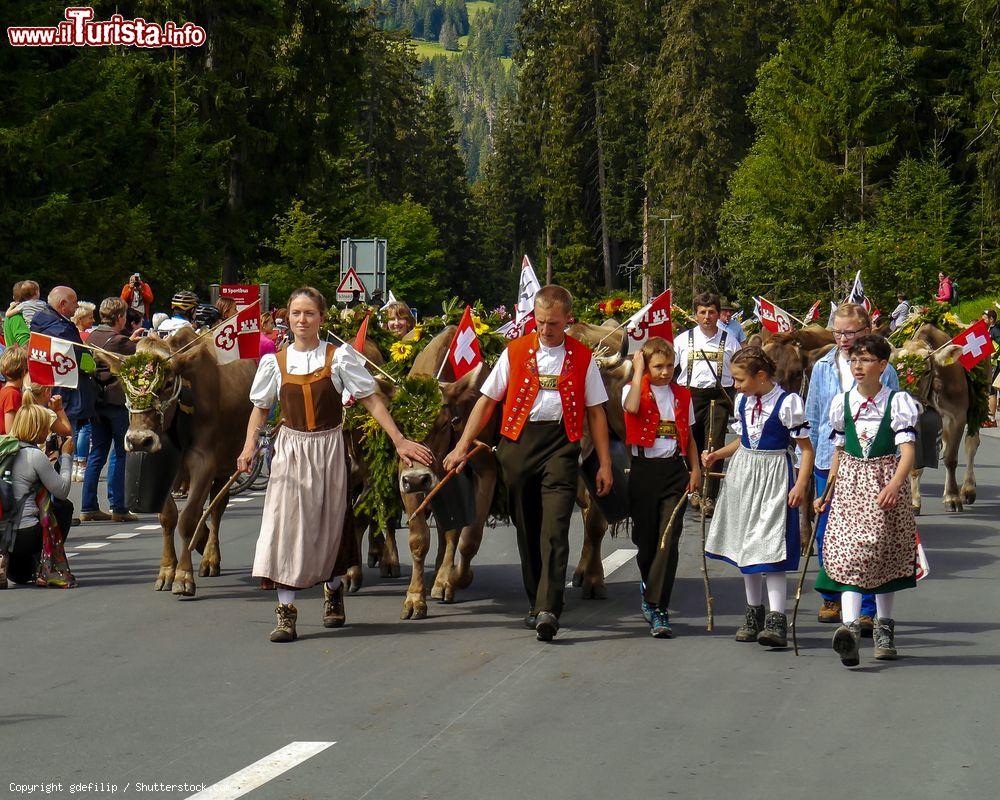 Immagine Una tradizionale sfilata di mucche (Alpabzug) alla fine dell'estate a Lenzerheide, Svizzera - © gdefilip / Shutterstock.com