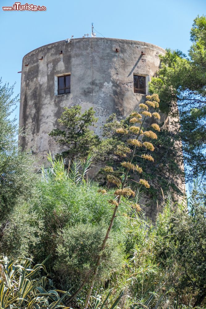 Immagine Una vecchia torre di avvistamento, costa di Santa Maria Navarrese