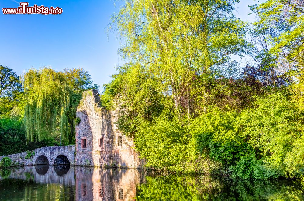 Immagine Una veduta del parco Schontal ad Aschaffenburg in Baviera, Germania.