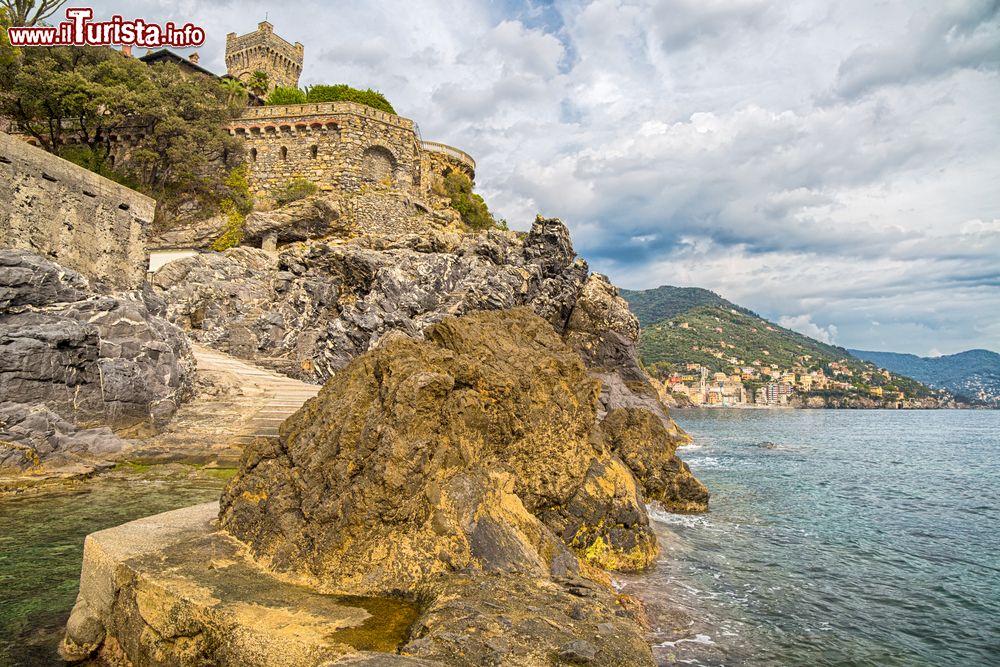 Immagine Una veduta di Pieve Ligure, Genova, con Sori sullo sfondo. Il paese è strutturato su strade e antichi viottoli che si estendono lungo le pendici del Monte Santa Croce con alberi di ulivo, mimosa e pino marittimo.