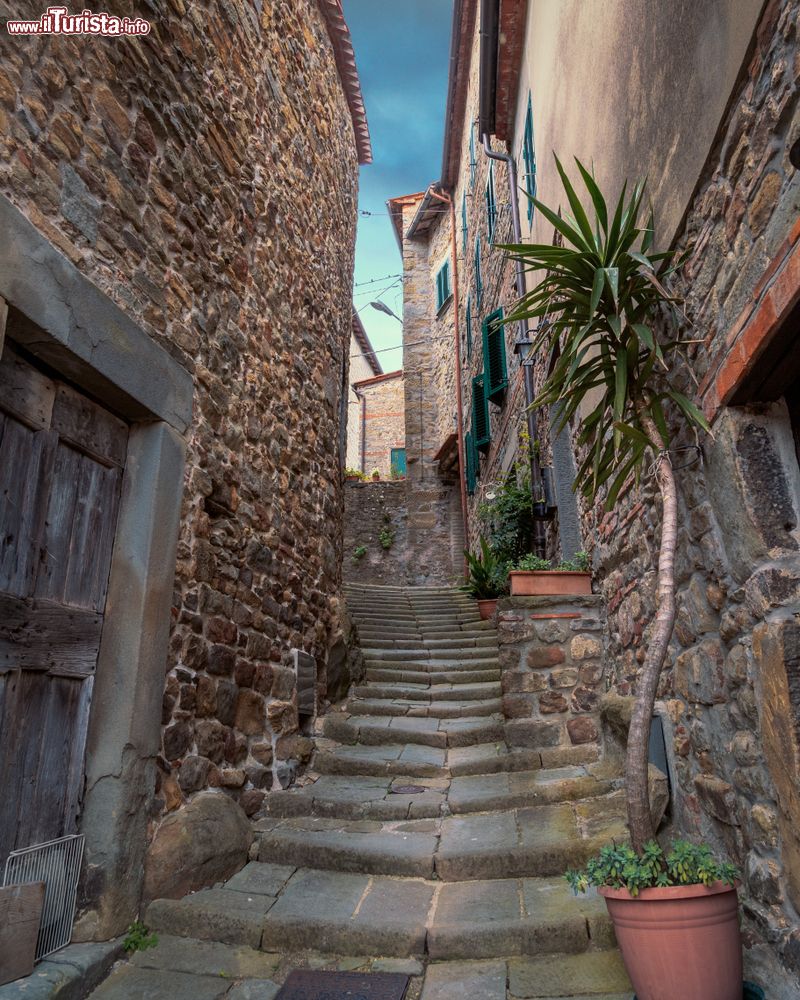 Immagine Una via a gradoni nel cuore del borgo di San Qurico di Pescia, Toscana