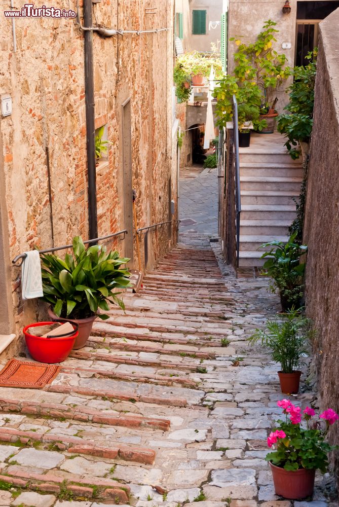 Immagine Una via del centro del borgo di Chiusdino in Toscana