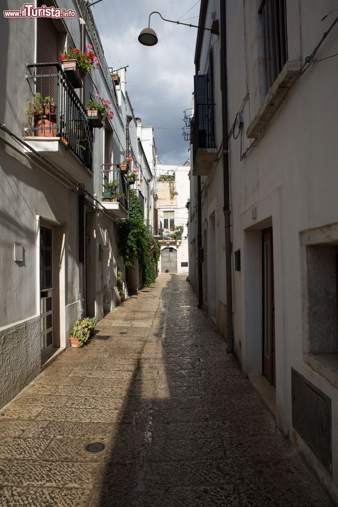 Immagine Una via del centro di Gioia del Colle in Puglia