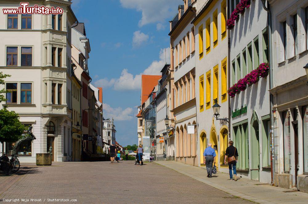 Immagine Una via del centro storico di Freiberg, Germania, con palazzi antichi e eleganti edifici affacciati - © Neja Hrovat / Shutterstock.com