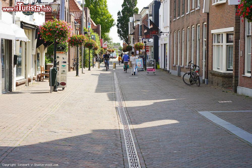 Immagine Una via pedonale nel centro storico di Zoetermeer: questa graziosa cittadina olandese è una delle più popolose del paese - © lunopark / Shutterstock.com