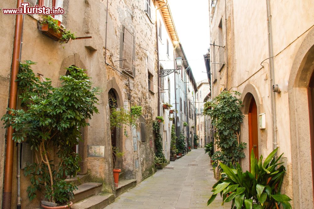 Immagine Una via pittoresca del centro di Marta nel Lazio