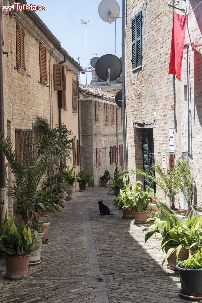 Immagine Una viuzza del centro storico di Recanati, il borgo caro a Giacomo Leopardi nelle Marche