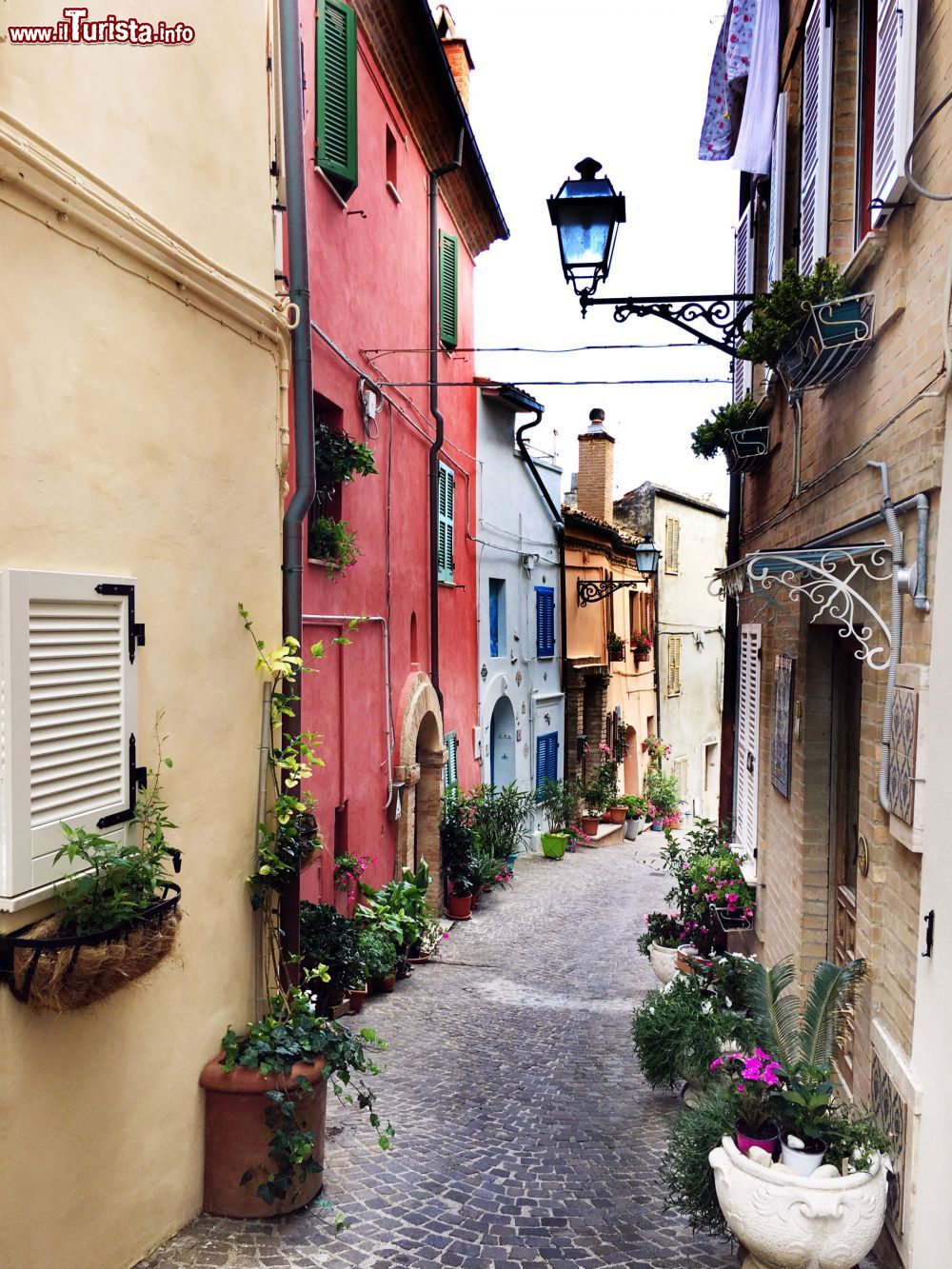 Immagine Una viuzza nel borgo antico di Grottammare, Ascoli Piceno (Marche). Qui si affacciano le vecchie case del centro storico cittadino impreziosite da fiori e piante colorate.