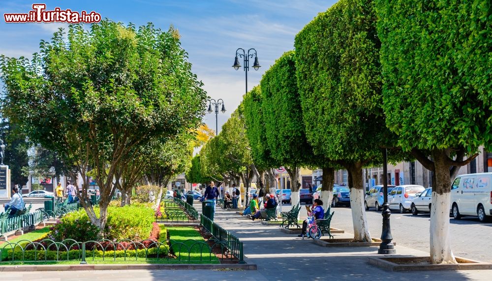Immagine Uno dei parchi pubblici che abbeliscono la città di Morelia, Messico. Qui, all'ombra degli alberi, si ritrovano le famiglie.