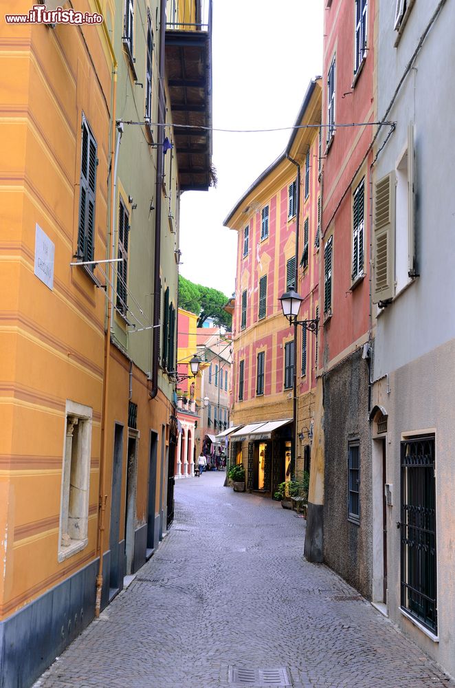 Immagine Uno dei tipici carrugi del centro storico di Celle Ligure, provincia di Savona (Liguria).