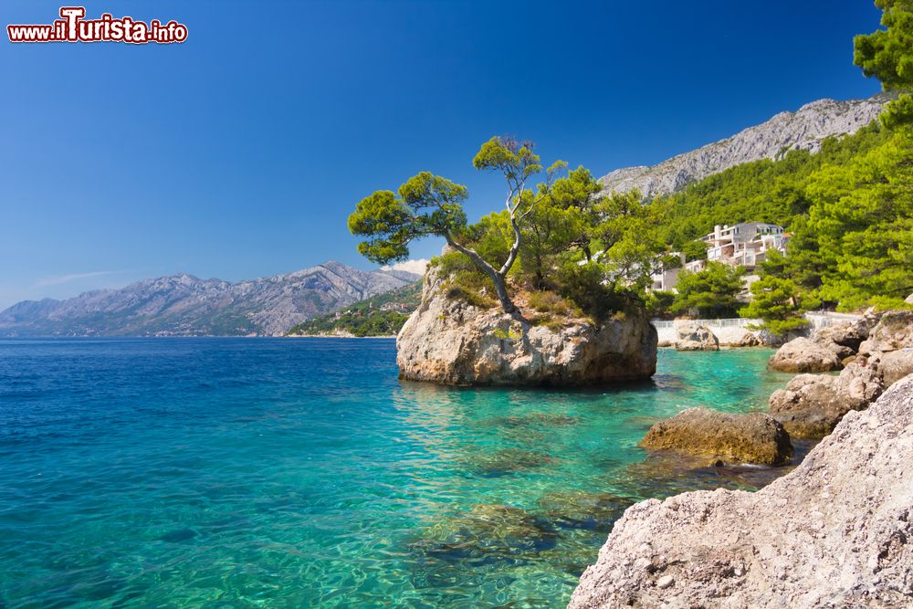 Immagine Uno scoglio pittoresco a Punta Rata di Brela, il mare limpido adriatico in Croazia (Dalmazia)