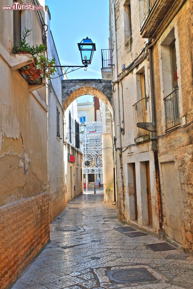 Immagine Uno scorcio del centro storico del borgo di Rutigliano, Puglia. L'attuale centro abitato pare sia nato poco prima dell'anno Mille.