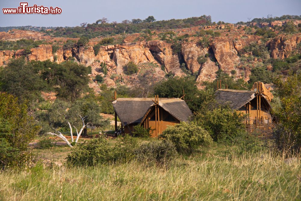 Immagine Uno scorcio del Great Limpopo Transfrontier Park, Africa. Quest'area nasce dalla collaborazione fra tre stati: Sudafrica, Mozambico e Zimbabwe.