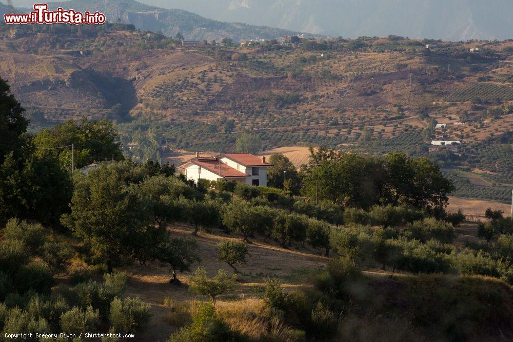 Immagine Uno scorcio del paese di Altomonte, Calabria. Situato in provincia di Cosenza, sorge su un promontorio a circa 455 metri sul livello del mare. Fa parte dei "borghi più belli d'Italia"  - © Gregory Dixon / Shutterstock.com