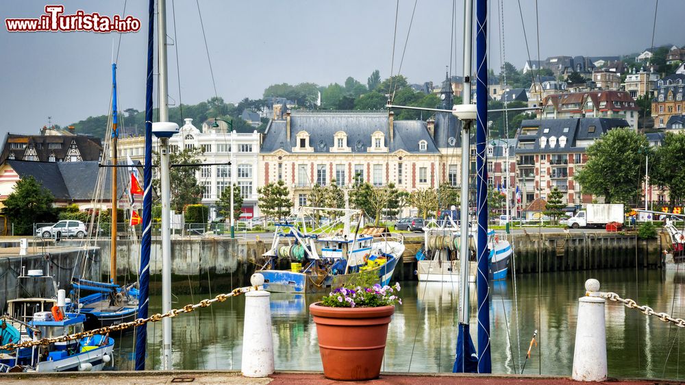 Immagine Uno scorcio del porticciolo di Deauville, Normandia (Francia), con un vaso in primo piano.