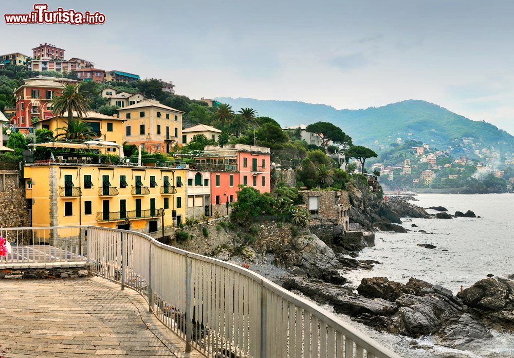 Immagine Uno scorcio della città di Recco, Genova, Liguria. Da tempo viene considerata la porta di ingresso dal capoluogo verso la Riviera di Levante e il Tigullio.