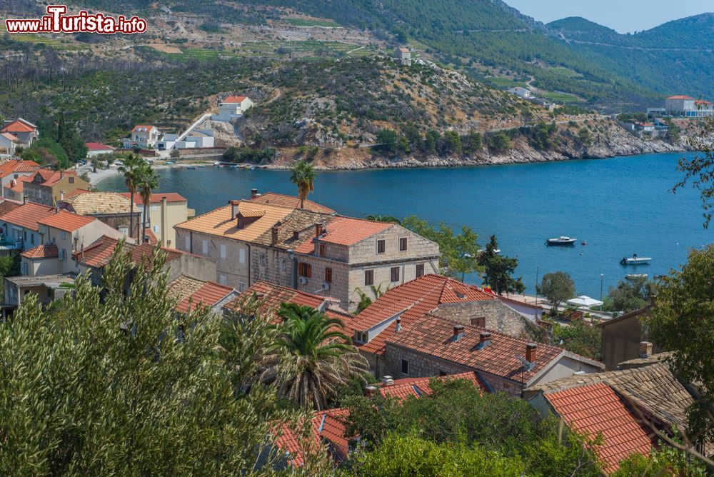 Immagine Uno scorcio della cittadina di Trstenik, Croazia: un tempo porto marittimo per il trasporto dell'uva sino in Italia, questa località è fra le più belle e incontaminate della zona.