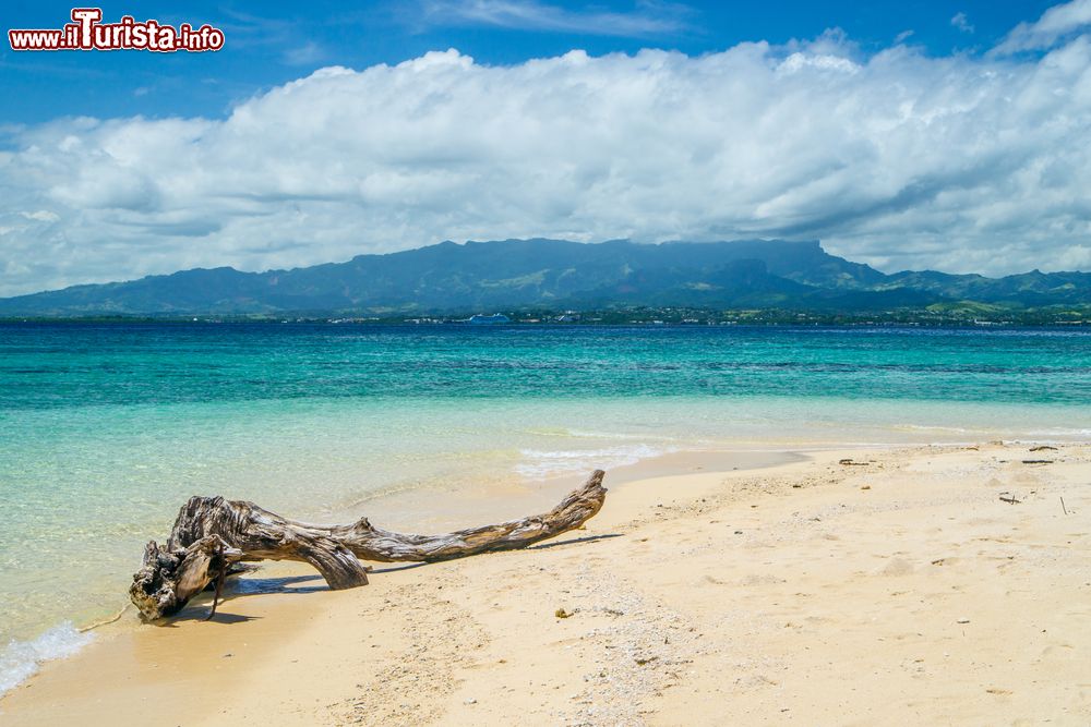 Immagine Uno scorcio della spiaggia deserta di Lautoka, città a ovest di Viti Levu, Figi. Questo paradiso tropicale è celebre anche per la produzione di canna da zucchero da cui prende il nome di Sugar City.
