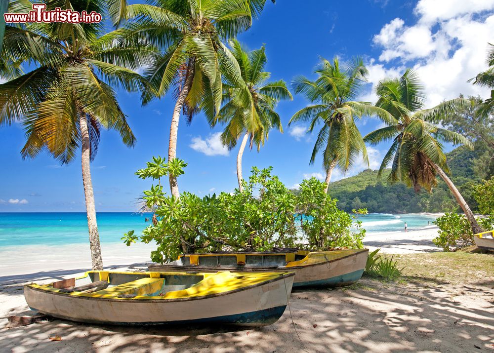 Immagine Uno scorcio della spiaggia Takamaka con palme e barche, isola di Mahé, Seychelles.